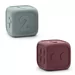 My first dice sage and berry