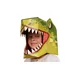 T-Rex 3D Mask Card Craft