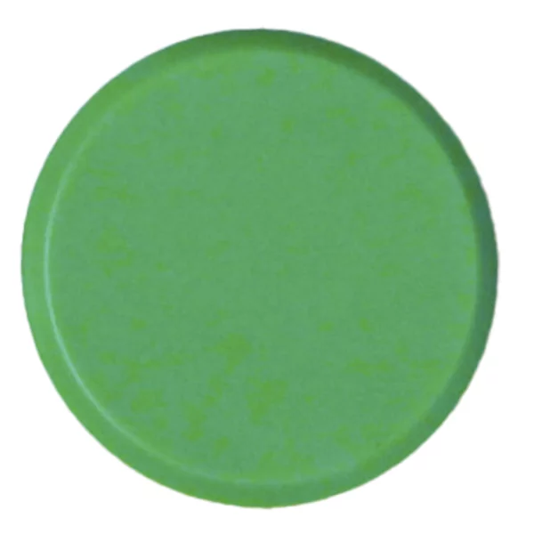 10 strong magnets 20 mm green