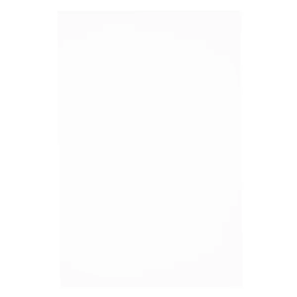 10 rubber bladen wit A4