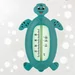 Bath thermometer turtle